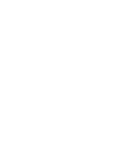 Aurora Labs logo