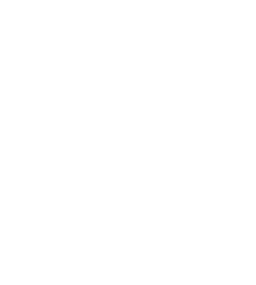 Autosports Group Limited. logo