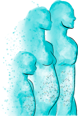 Biome Australia logo