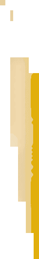 Dpm Metals Inc. logo