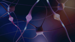 Entropy Neurodynamics logo