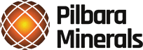 Pls Group logo