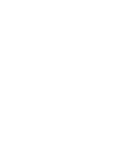 Regal Partners logo