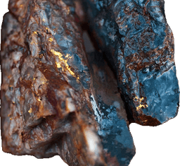 Tanami Gold Nl logo