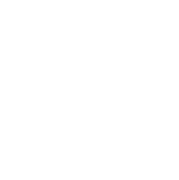 Vista Group International Limited. logo