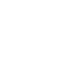 Wildcat Resources logo