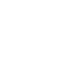 DE GREY MINING LIMITED logo