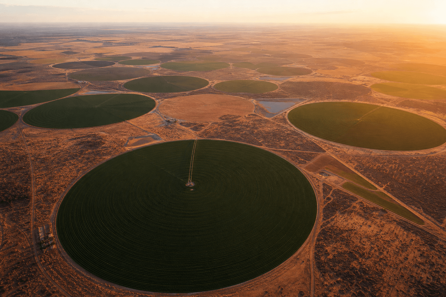 Satellite perspective of changing land utility and agricultural output